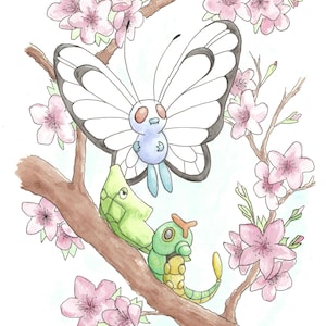 May include: A watercolor painting of three Pokemon characters: a white and black butterfly, a green caterpillar, and a green and yellow worm. The characters are surrounded by pink cherry blossoms.