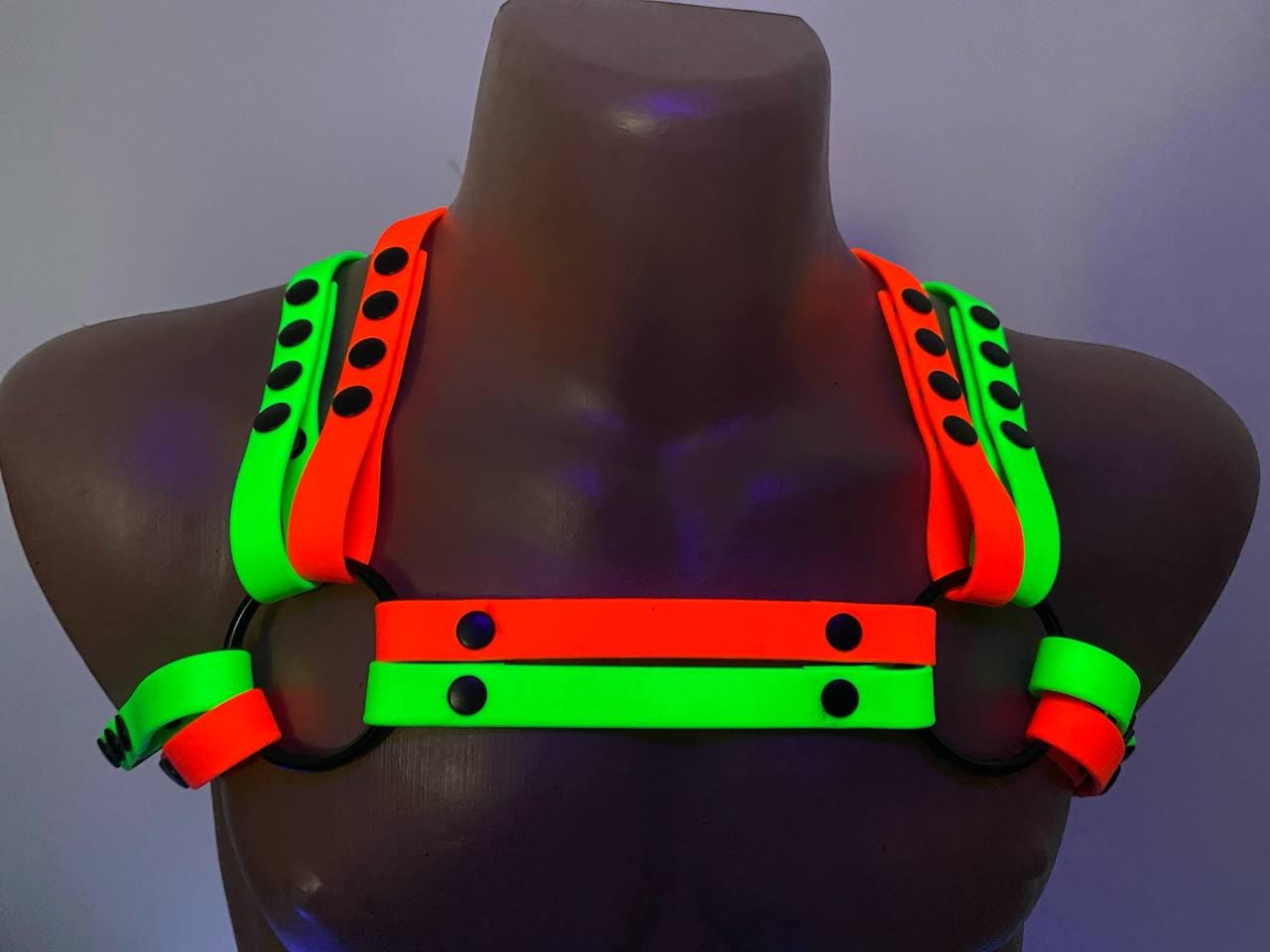 Néon harness España