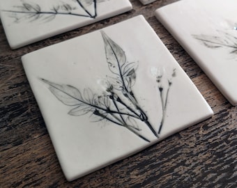 Fathers Day Gift - Ceramic Coasters - Coaster Set UK - Birthday Gift for Him - Drink Coasters - Pottery Coasters - Plant Print Coasters