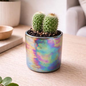 May include: A small cactus with two green, rounded stems in an iridescent cylindrical pot. The pot has a colourful, oil-slick appearance with blue, purple, and green hues. The plant sits on a wooden surface.