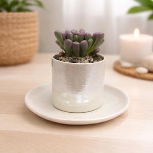 Cacti Planter - 30th Wedding Anniversary Gift for Parents - Pearl Anniversary Gifts - Succulent Plant Pot - Pottery Cactus Pots -Easter Gift