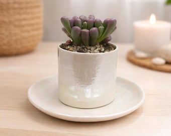 Cacti Planter - 30th Wedding Anniversary Gift for Parents - Pearl Anniversary Gifts - Succulent Plant Pot - Pottery Cactus Pots -Easter Gift