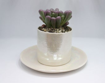 Ceramic Plant Pot, Succulent Planter,  Gifts for Gardener, Air Plant Holder Plant Lovers Gift - Christmas present