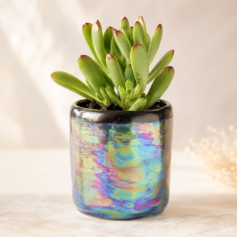 Colourful iridescent ceramic cactus and succulent pot styled with a small green succulent