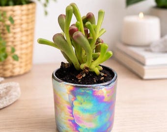 Succulent Pot -  -Christmas gift Birthday Gift for Him - Small Plant Pot - 12th Anniversary Gift - 8th Wedding Anniversary Gift, Black Pot