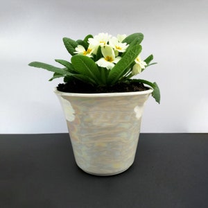 May include: A white ceramic pot with a light brown and white mottled glaze, filled with a green plant with white flowers.