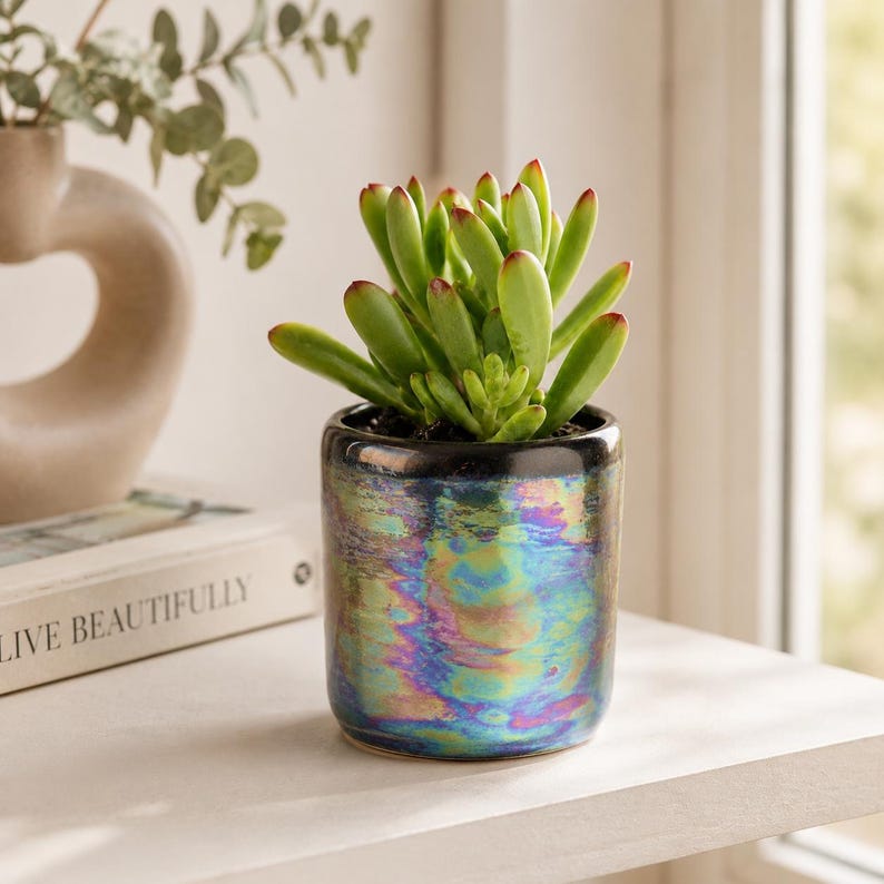 Handmade iridescent succulent planter with green plant styled on a bright indoor windowsill