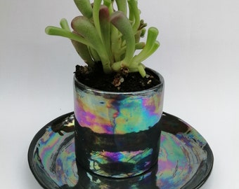 Small Planter - Succulent Planter - Indoor Plant Pot - Black Succulent Pot - Plant Lovers Gift - Ceramic flower pot - iridescent