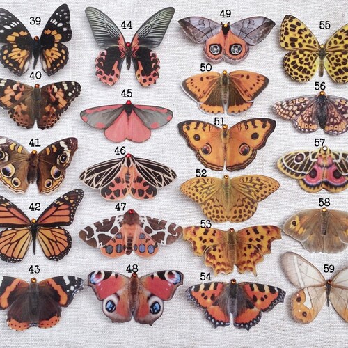 Silk Butterfly hair clips