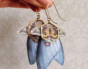 Pendientes de alas de polilla fantasma: Gris y naranja, Seda y latón.