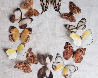 Mariposas de seda para decorar el hogar: Juego de 12 calcomanías de pared hechas a mano