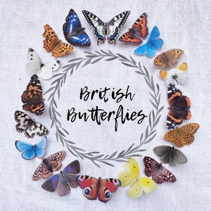 A wreath of British butterflies, all laid out in a circle. The super realistic butterflies are hand cut from silk and can be made as hair clips, magnets or brooch pins