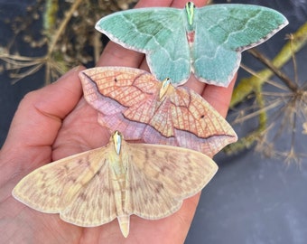 Trio of silk moth hair clips, pretty halloween accessories