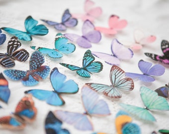 Silk butterfly hair clips with crystals | Nature lover gift | Summer wedding accessories