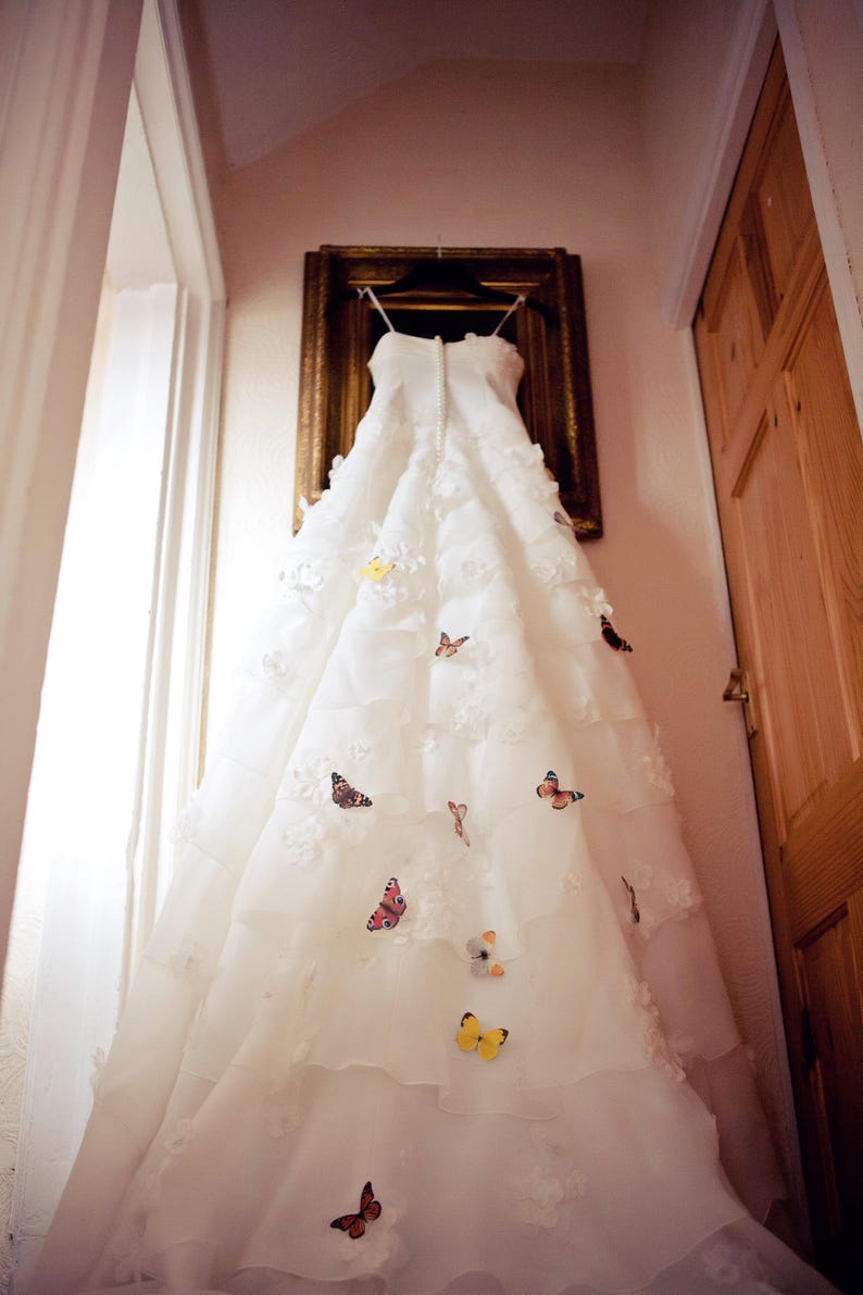 A beautiful ruffled silk wedding dress hangs on a picture frame at the top of a flight of stairs. there are silk butterflies pinned to the skirt.