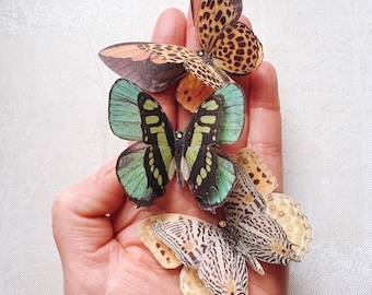 Imanes de mariposa, seda y cristal. Decoración para el hogar inspirada en la naturaleza.