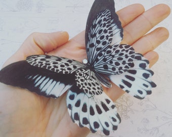 Large Black and white silk butterfly Hair clip: Monochrome statement accessory, 9cm wingspan