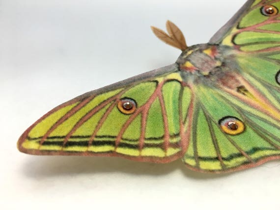 Silk Spanish Moon Moth Hair Clip Hand Cut From Silk With Etsy