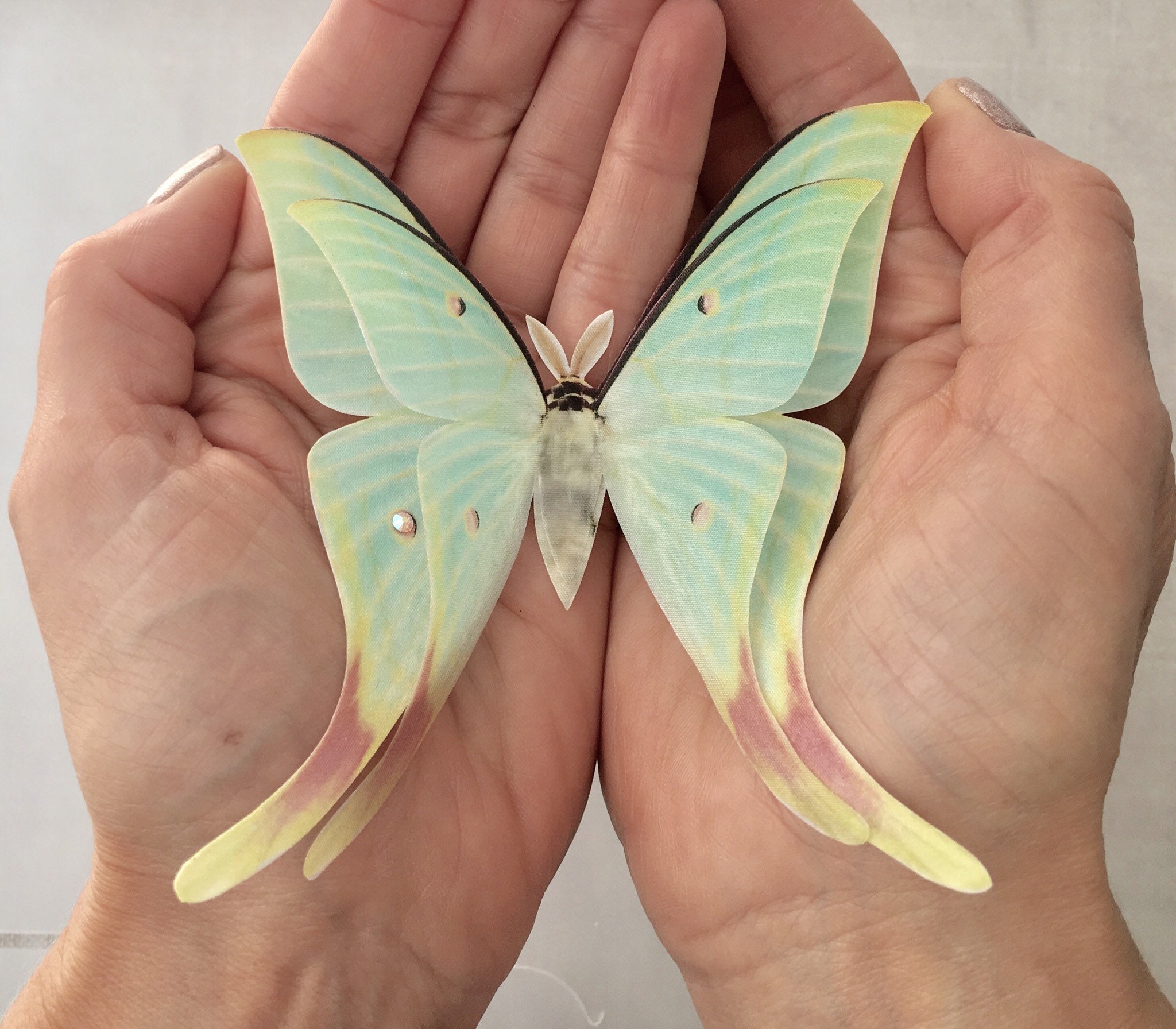 Chinese Moon Moth Hair Clip Silk With Swarovki Crystals Etsy Chinese Moon Moth Hair Clip Silk With Swarovki Crystals Etsy
