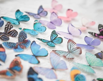 Pinzas para el pelo de mariposa de seda con cristales, de 6 cm de envergadura. Accesorios bohemios para dama de honor.