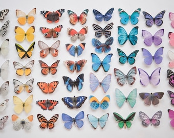 Mariposas de seda de colores con cristales, de 6 cm de envergadura. Decoraciones de boda artesanales.