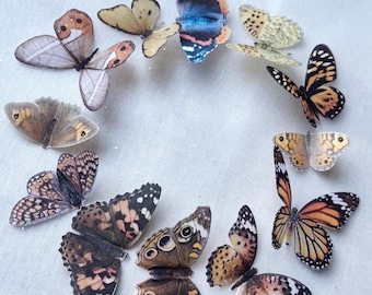 Silk Butterflies: Wedding decorations, Natural Browns, 4-7cm wing spans. Set of 12