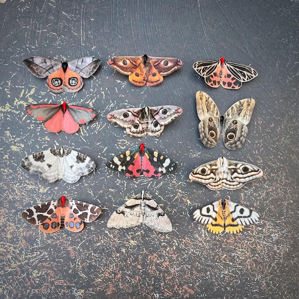 Moth Hair Clips, Silk and Crystal: Gothic wedding accessories.
