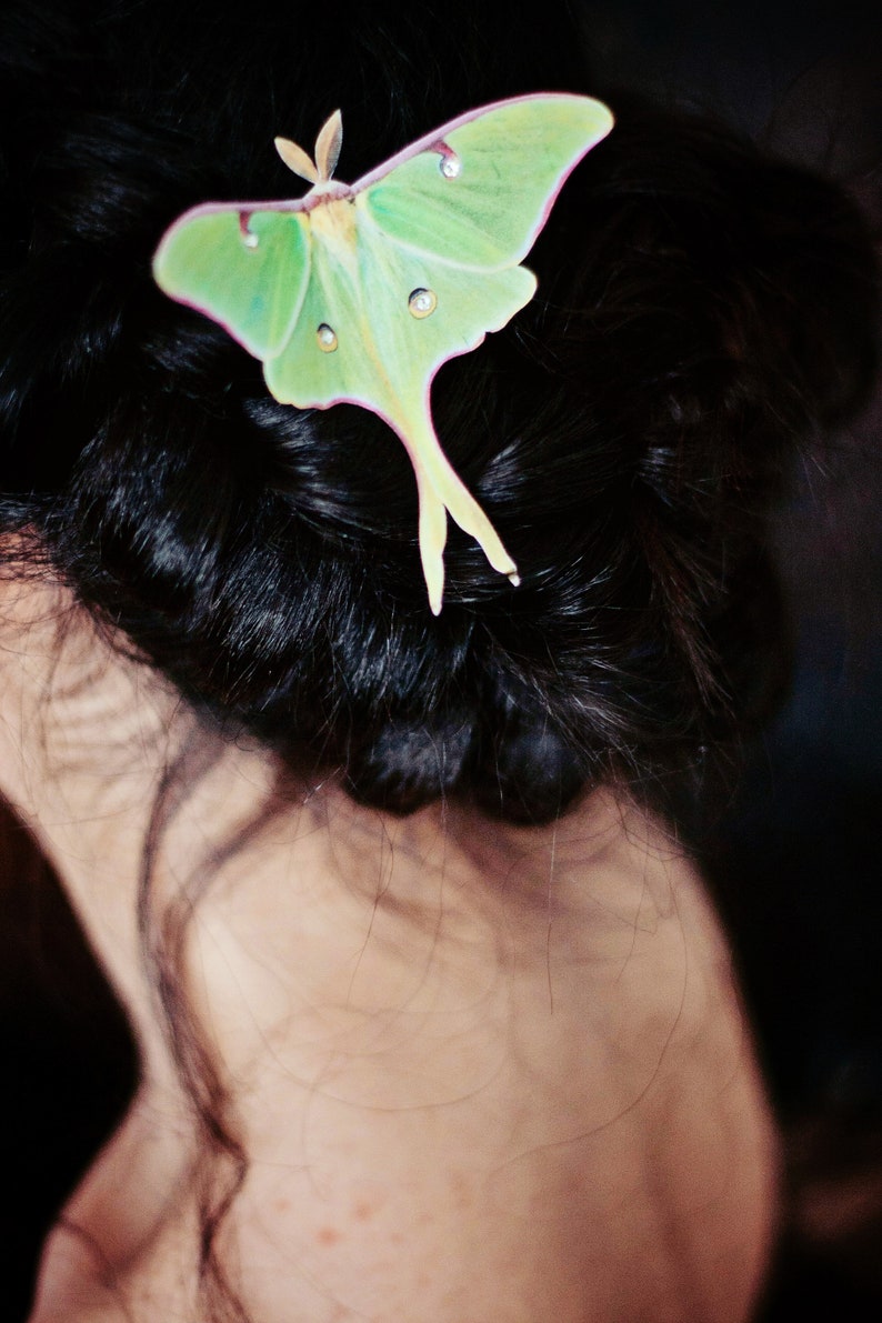 A model with black hair that has been twisted into a loose up do wears a pale green luna moth hair clip. the moth is super realistic and is hand cut from silk and finished with crystals