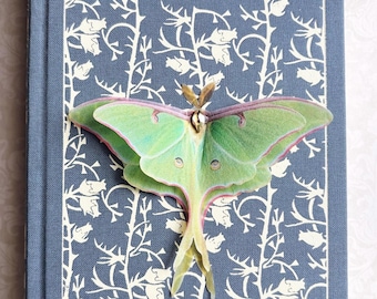 Polilla Luna de seda verde con cristal: pinza para el pelo, broche, imán. Envergadura de 10 cm.