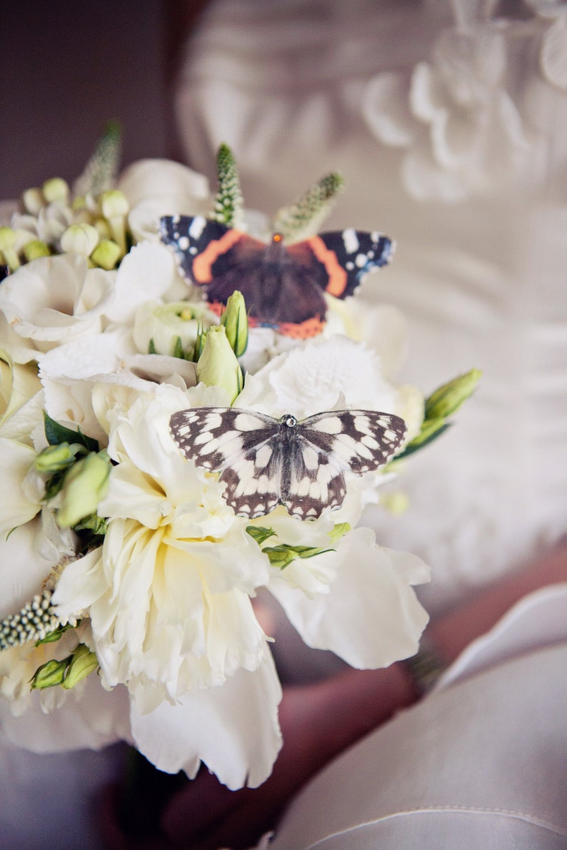 A beautiful wedding bouquet with white roses has two silk butterflies in with the flowers. A Red Admiral and a marbled white