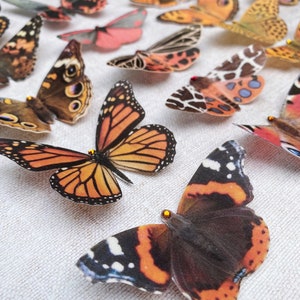 An image of brown silk butterfly hair clips, in the foreground is a super realistic Red Admiral butterfly and a gorgeous monarch.