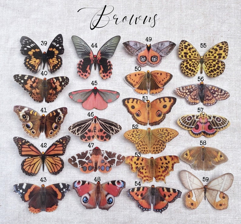 Silk Butterfly hair clips image 1