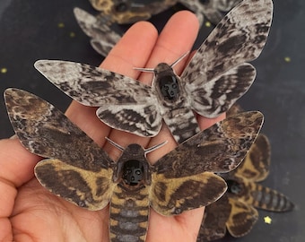 Deaths Head Hawk Moth hair clip | Super realistic | Swarovski Crystal skull | Goth gift