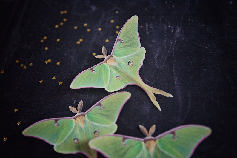 Three pale green luna silk moth hair clips sit on a black grunge background scattered with little gold stars