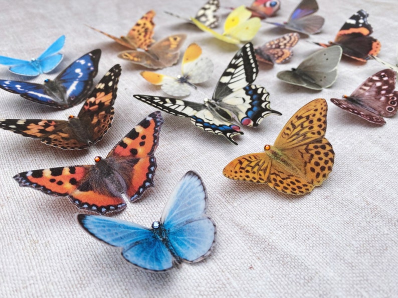 Pretty silk butterfly hair clips in a selection of species native to the UK . Pictured here are the tortoiseshell, swallowtail, small blue, painted lady and speckled wood butterflies