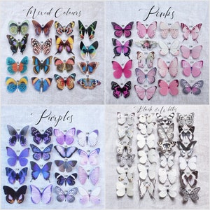 More realistic butterfly hair clips made from silk with tiny crystal details. These ones pictured are a mix of purples, lilacs, pins, blacks and whites