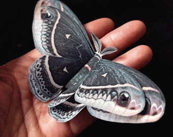 Black Calleta Moth - Handcrafted Silk and crystal statement hair clip, Whimsical Halloween accessory.
