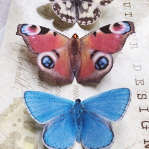 A marbled white butterfly, a peacock butterfly and a blue adonis butterfly sit on a glossy presentation postcard. The butterflies are super realistic silk hair clips