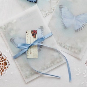 A pretty something blue wedding butterfly in its gift packaging. the postcard is tucked into a vellum envelope and tied with satin ribbon