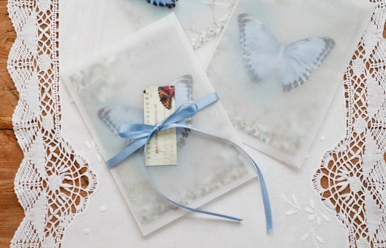 A pretty something blue wedding butterfly in its gift packaging. the postcard is tucked into a vellum envelope and tied with satin ribbon