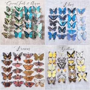 sets of silk butterfly hair clips are all lined up. Choose your own mixes from the colours shown. Greens, aquas, Teals, Blues, Browns and yellows.
