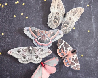 Moth hair clips made from silk with Swarovski Crystals, set of 5.