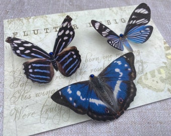 Silk butterflies