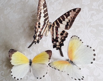 Horquillas de seda con forma de mariposa: Accesorios de boda originales, juego de tres