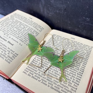 Two brass earrings with a green moth design. The moths have gold stars on their wings. The earrings are hanging from a book with text on the pages. The text on the pages reads: 'Precious Blood.'