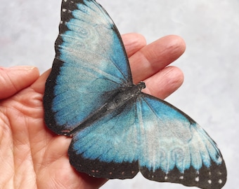 Silk Butterfly Hair Clip: Realistic Blue Morpho, 10cm Wingspan. Whimsical Fairycore accessory.