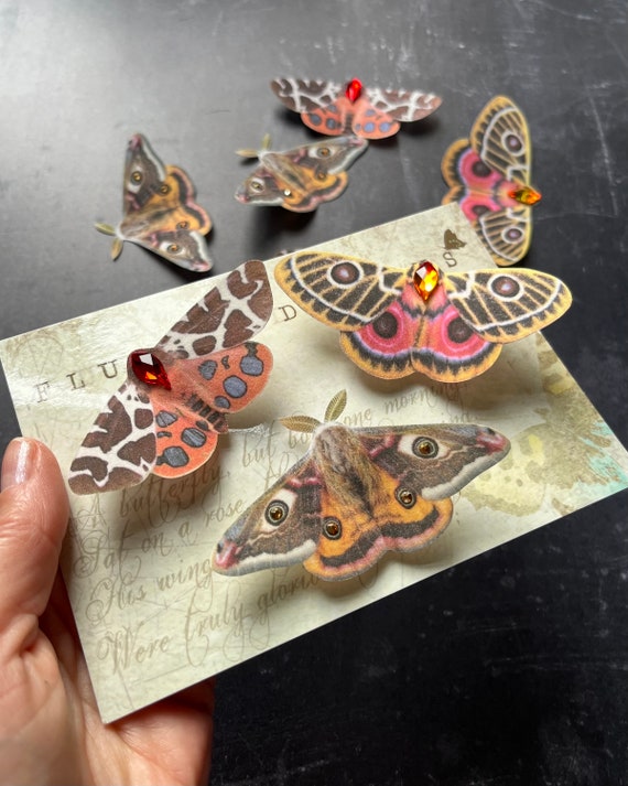 Silk Moth Hair Clips: Crystal Gothic Cottagecore Accessories