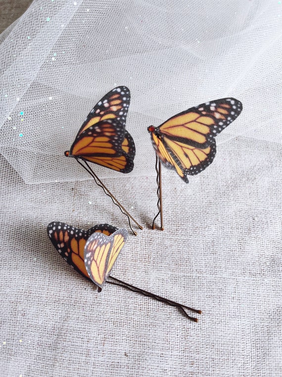 Pin on butterflies