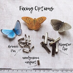 This image shows the different fixings you can have on your butterfly. You can choose from a brooch pin, an aligator clip or a neodymium magnet