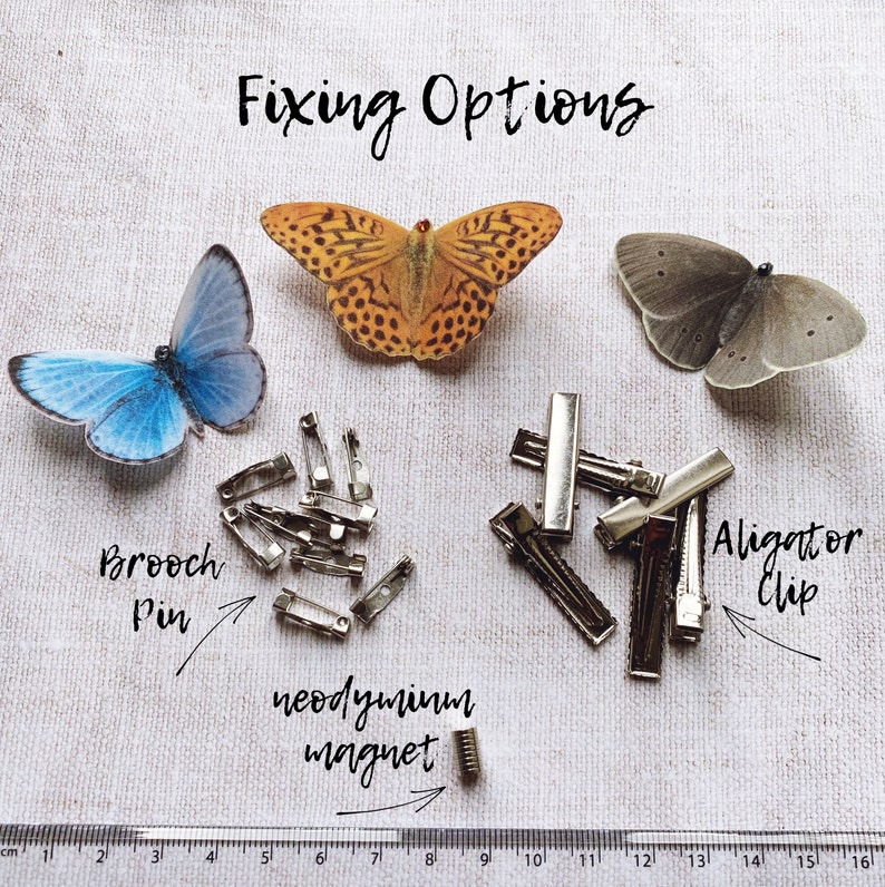 This image shows the different fixings you can have on your butterfly. You can choose from a brooch pin, an aligator clip or a neodymium magnet